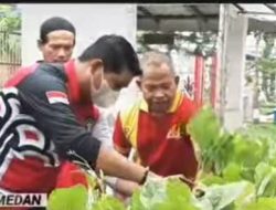 Rutan Kelas I Medan Kanwil Kemenkumham Sumut hari Ini Panen Sayuran Sawi Dengan Sistem Hidroponik