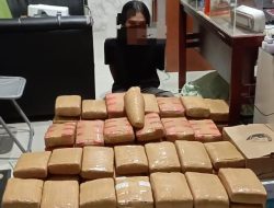 Ditresnarkoba Polda Sumut Tangkap 3 Pelaku Membawa 135 Kilogram Ganja
