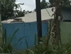 Diduga Gudang CPO Ilegal Milik AB, Bebas Beroperasi Di Pasar 8 Desa Manunggal