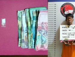 Satres Narkoba Polres Labuhan Batu kerja Cepat Menangkap Pria ZH Peredaran Narkotika 