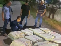 Direktorat Reserse Narkoba Kepolisian  Polda Sumut Berhasil Gagalkan 11 goni Berisi Ganja Berasal Dari Aceh