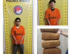 Bawa Ganja dari Aceh Tenggara, sampai di Binjai di tangkap Polres Binjai