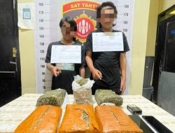Sat Narkoba Polres Toba Berhasil Gagalkan Penyelundupan 7 Kg Ganja Dari Aceh ” Dua Kurir Dibekuk di SPBU Balige