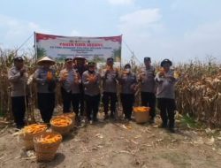 PANEN RAYA JAGUNG SERENTAK KUARTAL II, DUKUNG SWASEMBADA PANGAN NASIONAL 2025