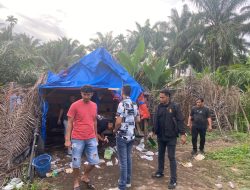 Satresnarkoba Polres Binjai Kembali Lagi Grebek Dan Musnahkan Barak Narkoba Di Kecamatan Sei Bingai