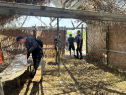 Barak Narkoba di Binjai Selatan Kembali Digrebek Dan Dimusnahkan Polres Binjai