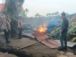 Kapolsek Kutalimbaru AKP Idem Sitepu Pimpin Gerebek Sarang Narkoba, Tenda dan Barak Habis Dibakar