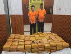 Dijanjikan Upah Rp50 Juta, Dua Kurir Nekat Bawa 255 Kg Ganja Pakai Mobil Terios, Tamat di Tangan Polda Sumut