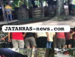 Omset Ratusan Juta! Lapak Judi Sabung Ayam ‘Wandi’ di Marelan Bebas Beroperasi, APH Tutup Mata?