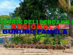 Gaji Tak Dibayar, PTPN IV Regional 1 Kebun Gunung Pamela Dinilai Langgar Hak Pekerja