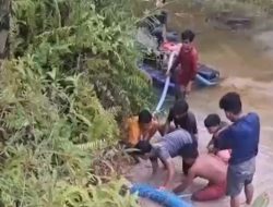 Berniat Cari Emas, Warga Desa Jake Malah Meregang Nyawa Tertimpa Pohon Kelapa