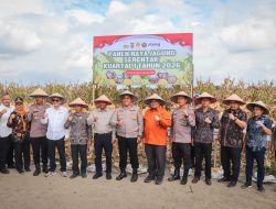 Polres Serdang Bedagai Ikut Panen Jagung Serentak Kuartal I 2026, Wakapolres dan Bupati Beri Penegasan Ketahanan Pangan