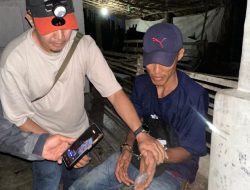 Polsek Bandar Pulau Polres Asahan Ringkus Pemuda Pemilik Sabu