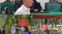Akuang Diduga Kabur, Eksekusi 10 Tahun Penjara dan UP 856,8 M Batal? Sawit Sitaan Terus Dipanen, Kasi Penkum Kejati Sumut : Kejari Langkat dan BKSDA Saling Kordinasi