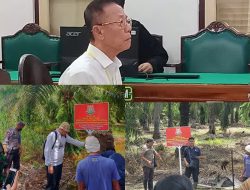 Akuang Diduga Kabur, Eksekusi 10 Tahun Penjara dan UP 856,8 M Batal? Sawit Sitaan Terus Dipanen, Kasi Penkum Kejati Sumut : Kejari Langkat dan BKSDA Saling Kordinasi