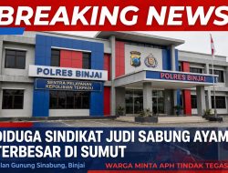 Diduga Sindikat Judi Sabung Ayam di Jalan Gunung Sinabung Binjai Resahkan Warga, Minta Kapolri Bertindak